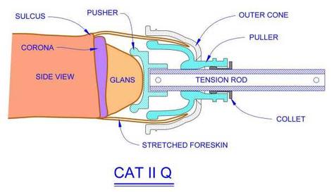 CAT II Q cross section